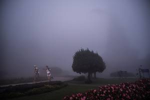 BIB: 
                            <button type="button" onclick="openModal(22791750)" class="btn btn-primary btn-sm float-right btn-popup" data-toggle="modal" data-target=".modal-high-quality">
                        <i class="fas fa-shopping-cart"></i> Add to Cart
                    </button>
                                            <button type="button" onclick="isThisMe(22791750, true)" class="btn btn-success btn-sm float-right btn-popup btn-isme hidden" data-toggle="tooltip" data-placement="bottom" title="นี่คือรูปของคุณใช่ไหม คลิกที่นี่เพื่อเอาเข้าอัลบั้ม">
                        <i class="fas fa-plus"></i> Add to album
                    </button>
                    <button type="button" onclick="isThisMe(22791750, false)" class="btn btn-warning btn-sm float-right btn-popup btn-isnotme hidden">
                        <i class="fas fa-ban"></i> Remove from album
                    </button>